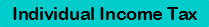 Individual Income Tax pic