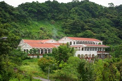 南港茶葉製造示範場景色圖