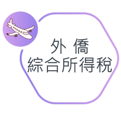 外僑綜合所得稅圖示